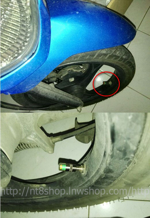 จุ๊บวัดลมยางอัตโนมัติ ขนาดแรงดัน 32-36psi Car Tyre Pressure Cap Visual