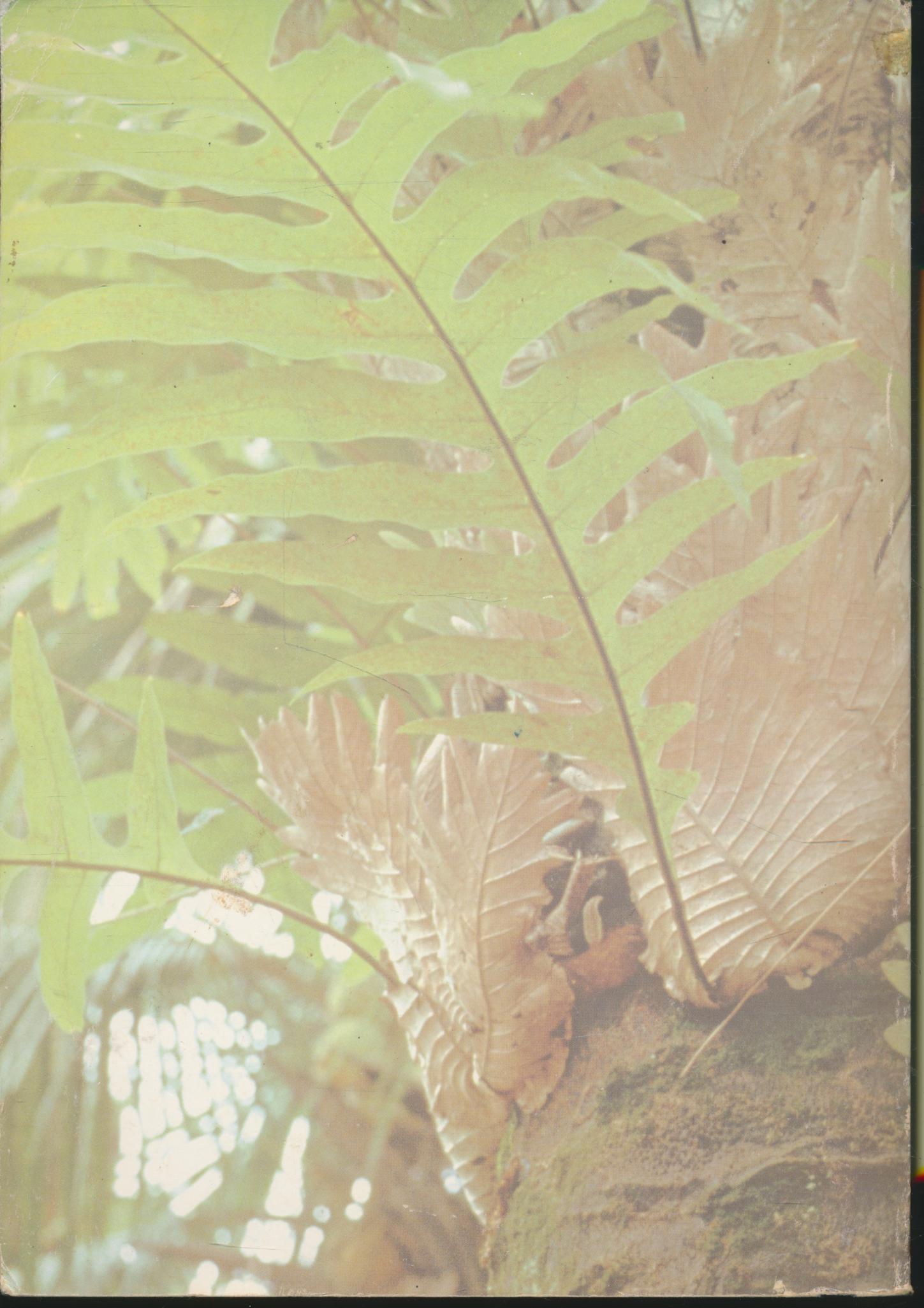 คู่มือครู สร้างเสริมประสบการณ์ชีวิต วิทยาศาสตร์ ชั้นประถมศึกษาปีที่ ๖