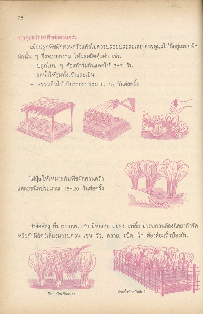หนังสือเรียนทักษะกระบวนการและแบบทดสอบ กลุ่มการงานพื้นฐานอาชีพ งานเกษตร ป.๔