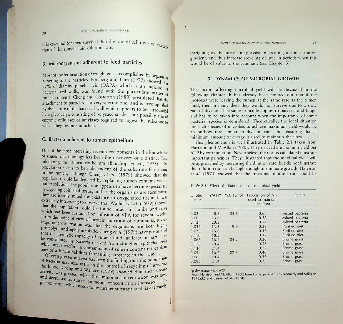 Protein Nutrition in Ruminants