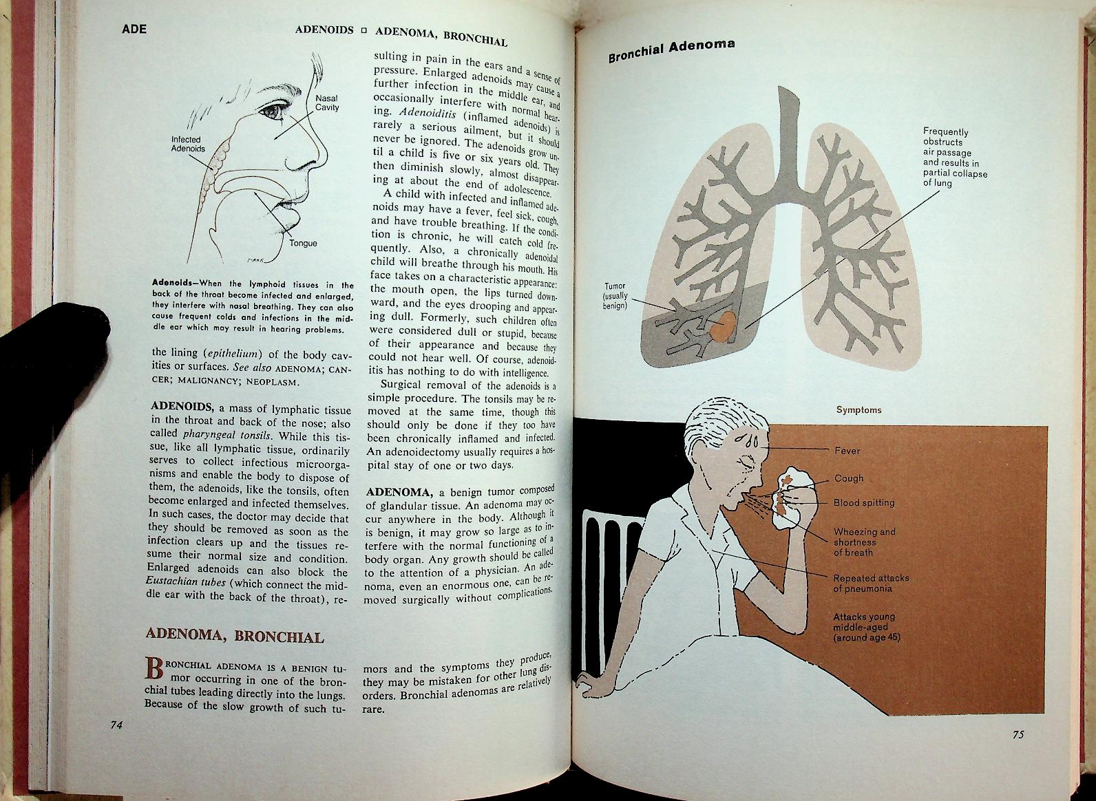 Medical and Health Encyclopedia 1