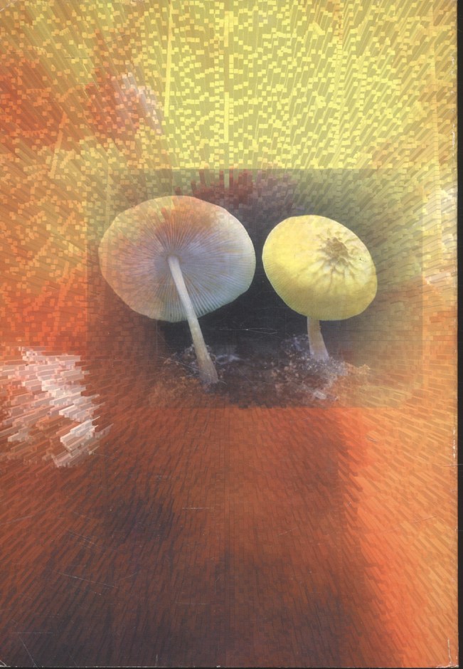 ชีวิตกับวิบัติภัย จากการเปลี่ยนแปลงของภูมิอากาศ