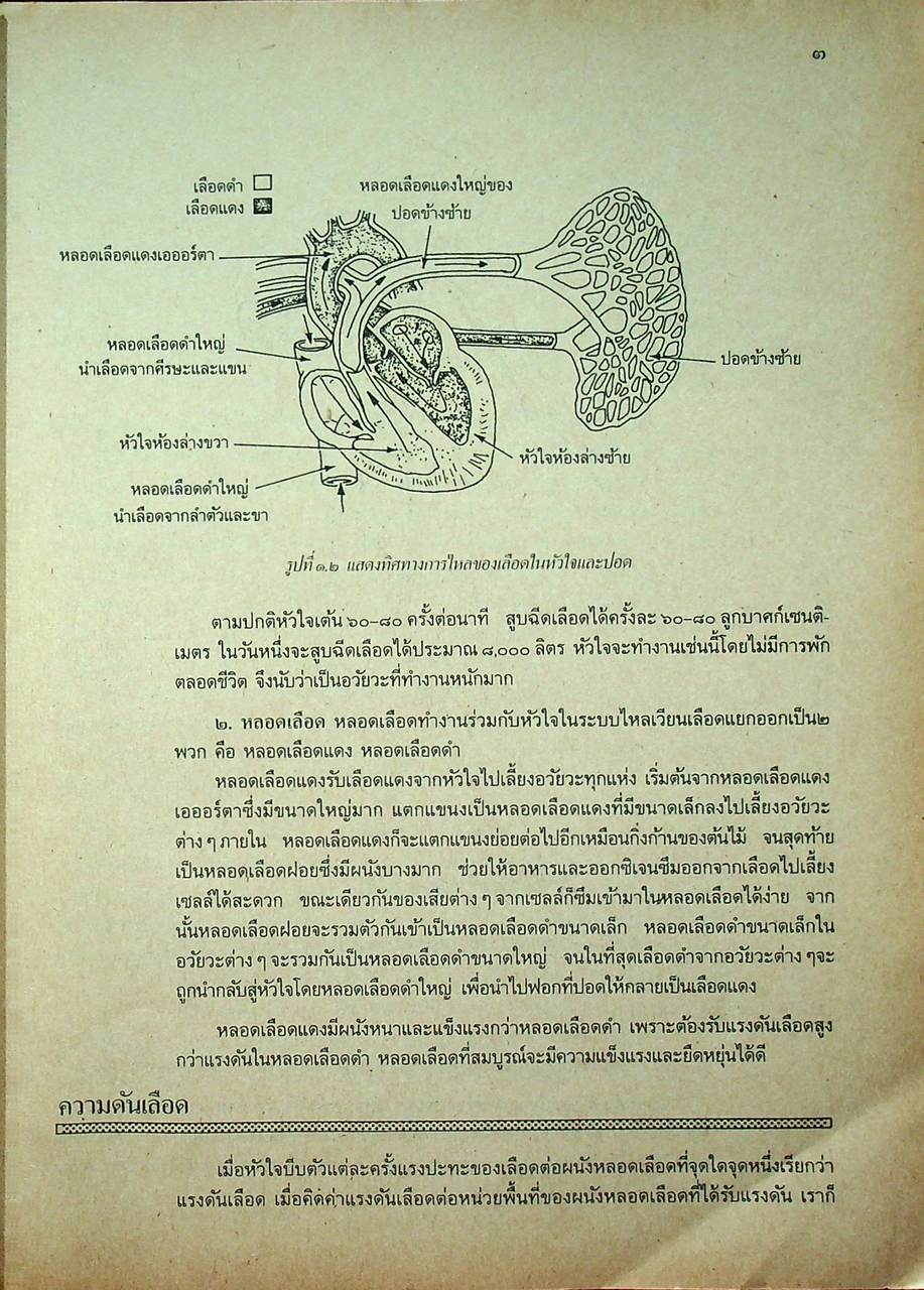 หนังสือเรียนวิชาพลานามัยและนันทนาการ พน ๖๒๐๑ พน ๖๒๐๒ พลานามัย ๓-๔