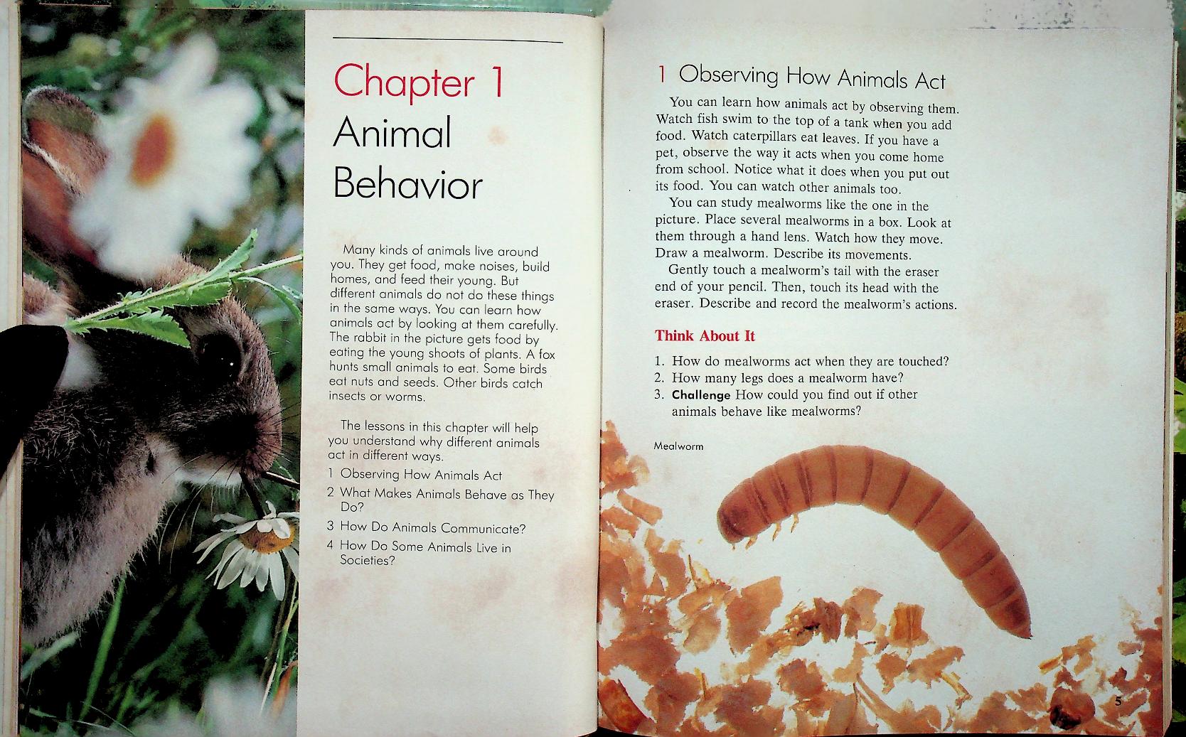 Scott, Foresman Science