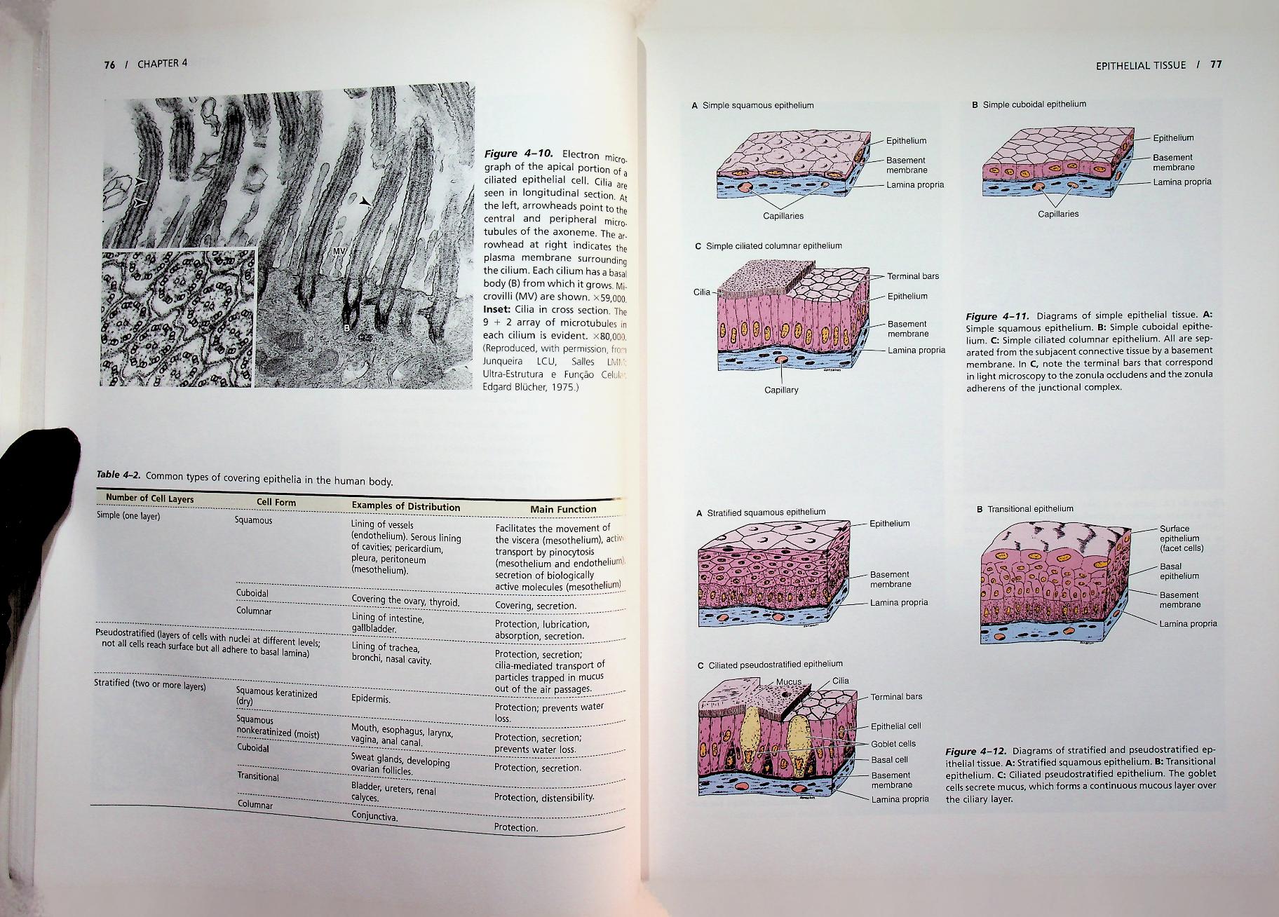 basic histology TEXT & ATLAS