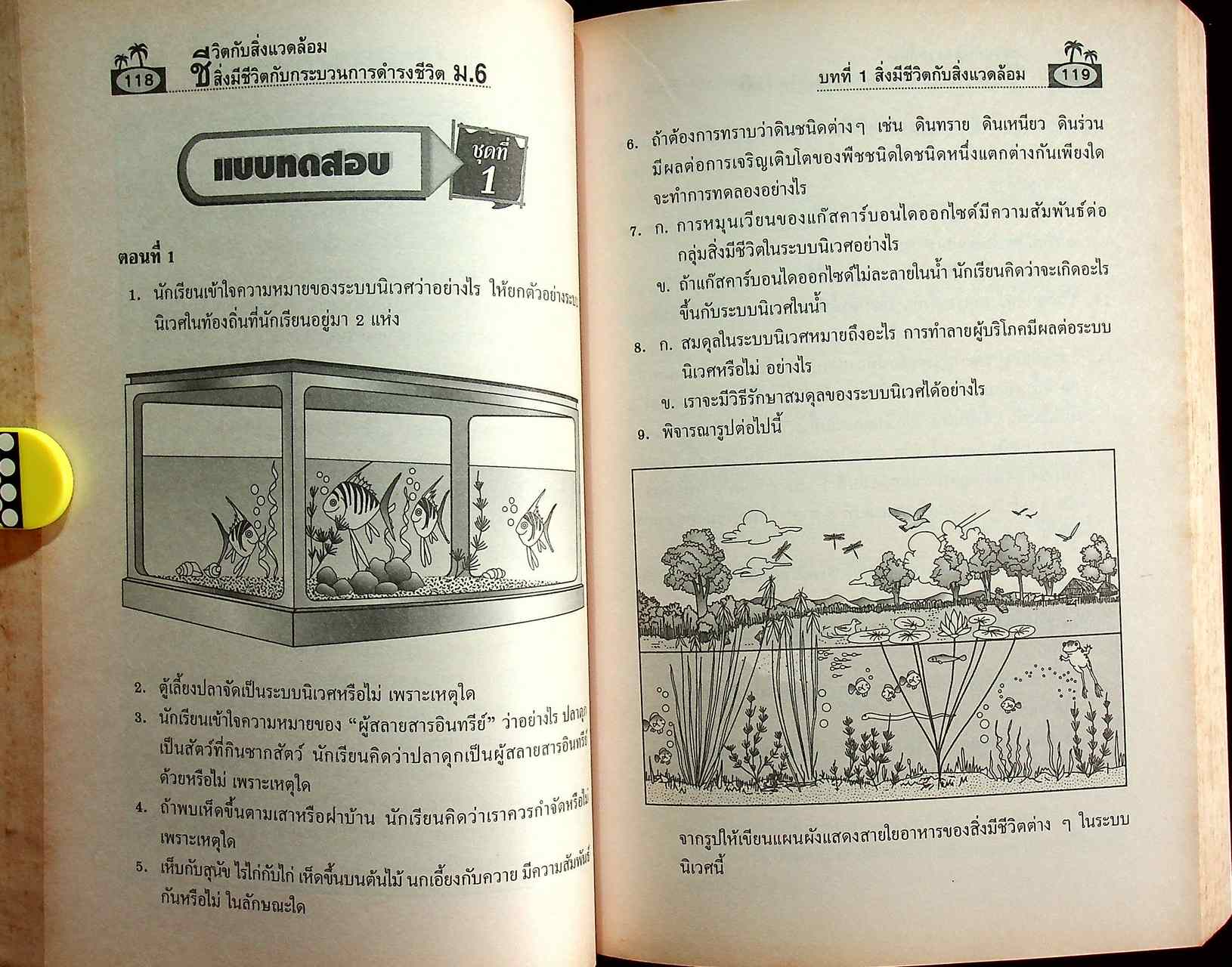 คู่มือเตรียมสอบ ชีวิตกับสิ่งแวดล้อม สิ่งมีชีวิตกับกระบวนการดำรงชีวิต ม.6 ช่วงชั้นที่ 4 (ม.4-5-6)