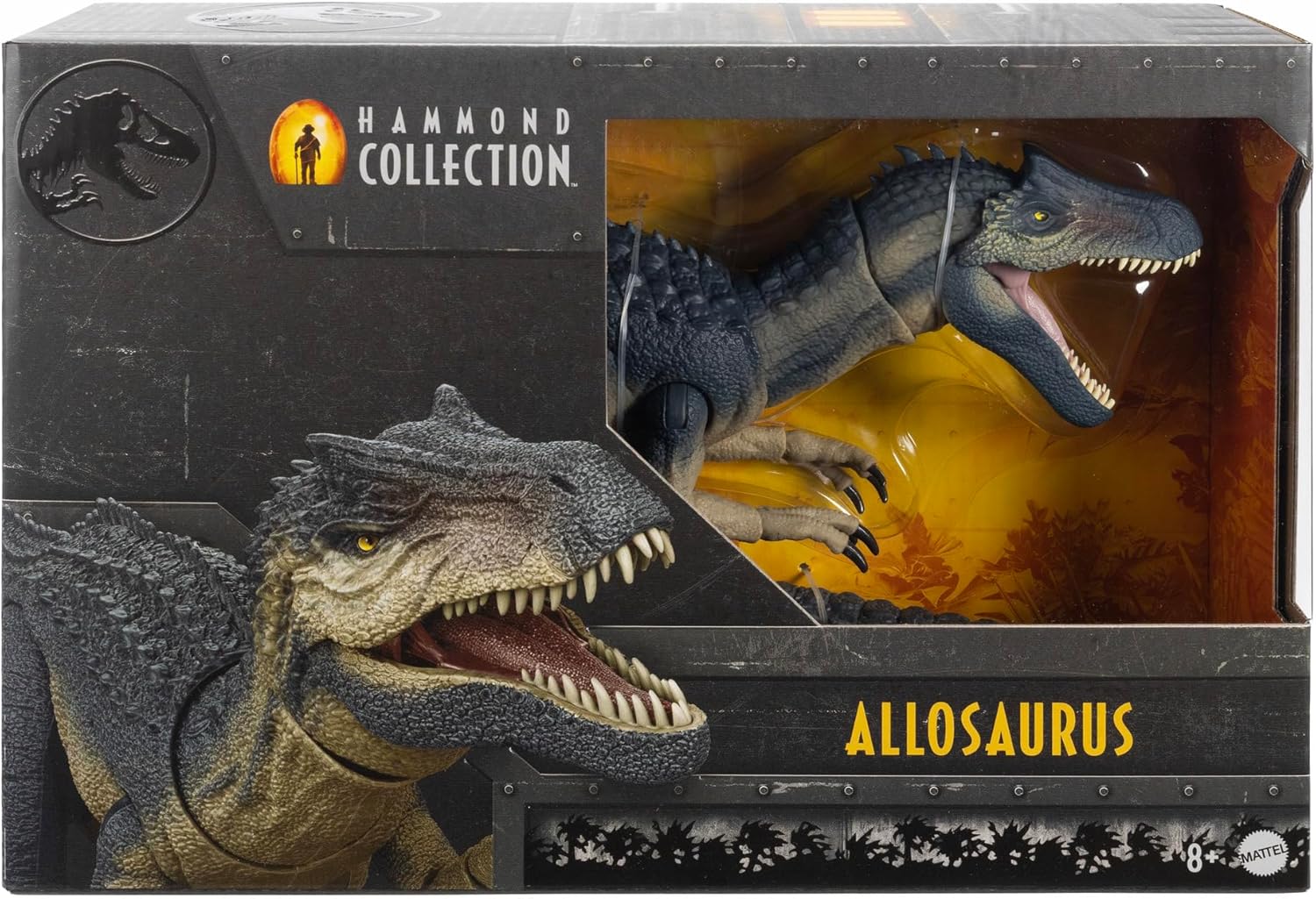 **MTS Toys**Mattel Jurassic World Hammond Collection : JCG13 Allosaurus [ความยาวจากหัวถึงหาง 52.7 ซ.ม.]