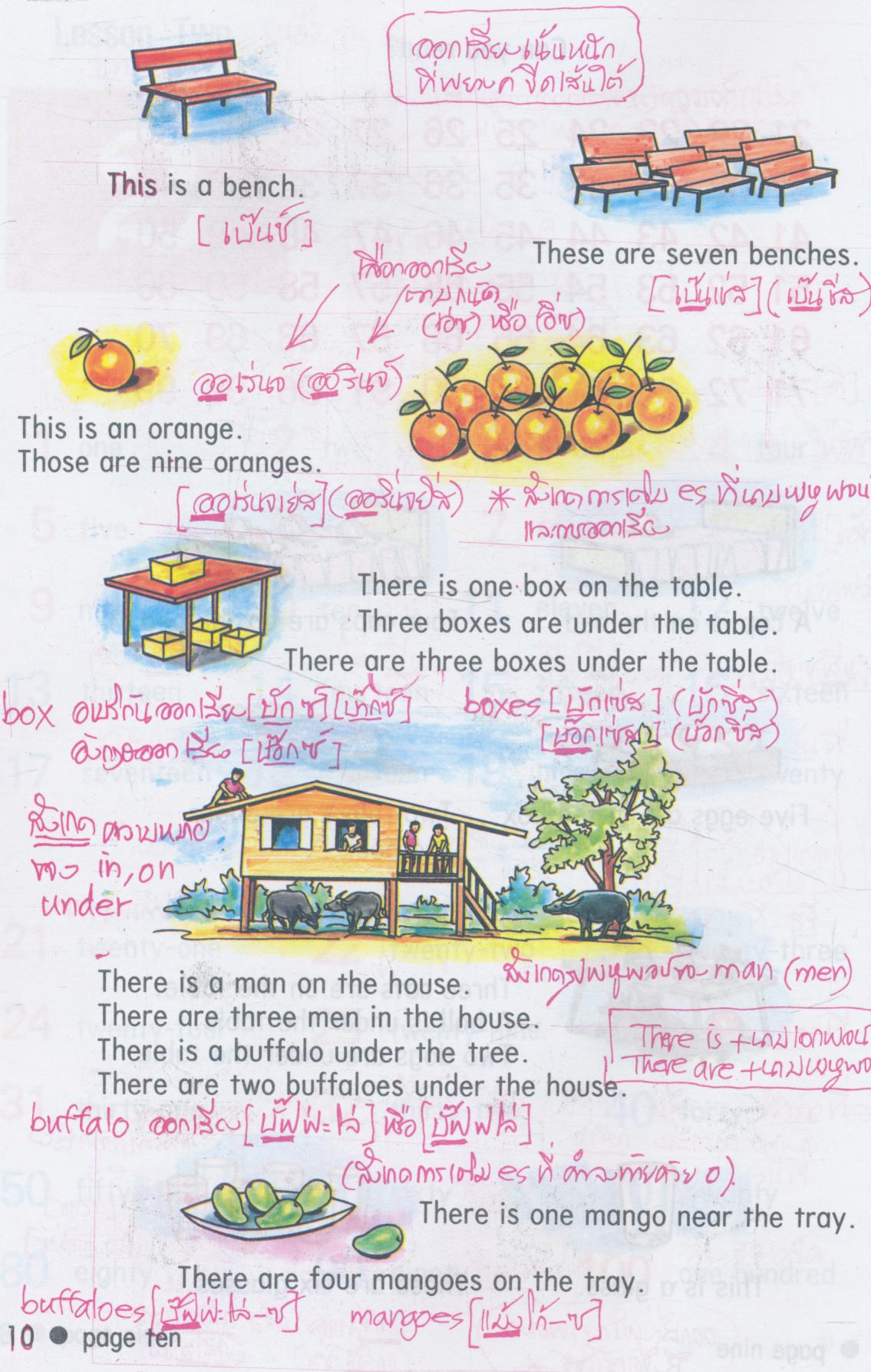 คู่มือครู-เฉลย NEW STANDARD ENGLISH 4