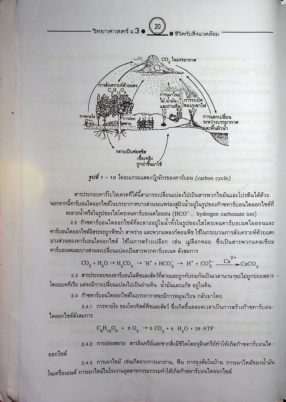 คู่มือเตรียมสอบสาระการเรียนรู้พื้นฐาน วิทยาศาสตร์ ม.3 ชีวิตกับสิ่งแวดล้อม สิ่งมีชีวิตกับกระบวนการดำรงชีวิต