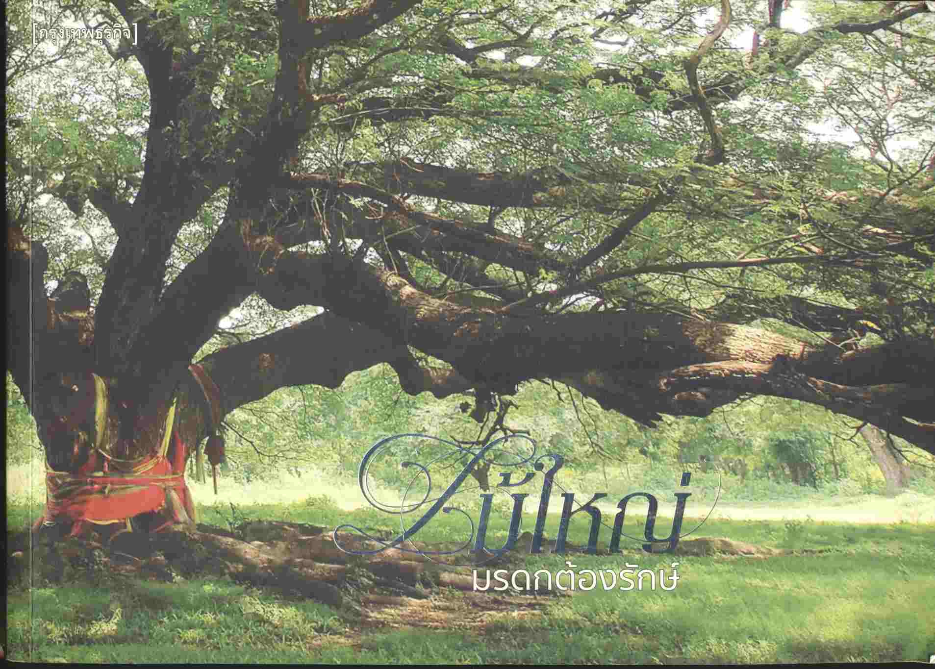 ไม้ใหญ่ มรดกต้องรักษ์