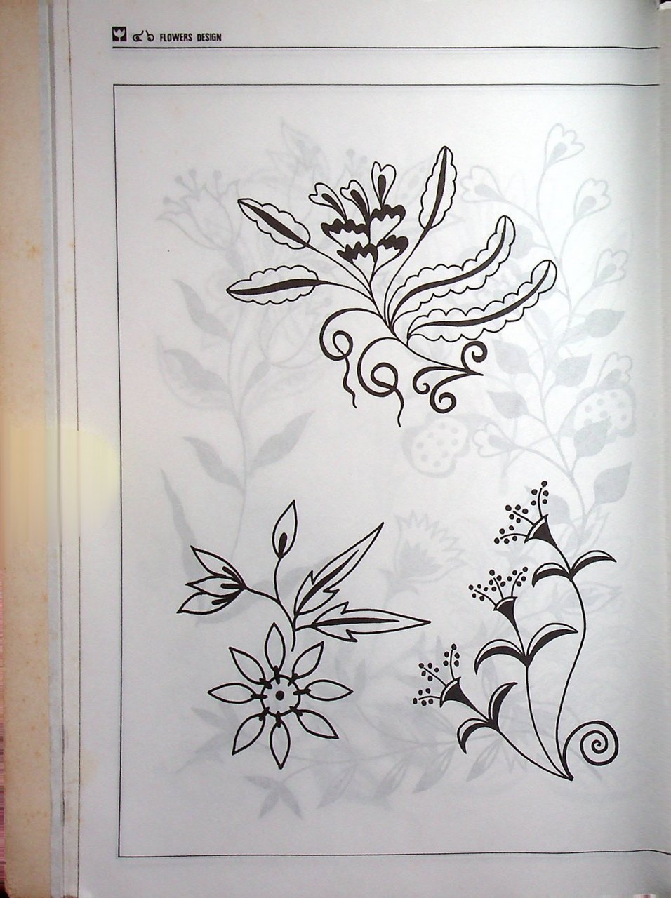 ออกแบบดอกไม้ FLOWERS DESIGN