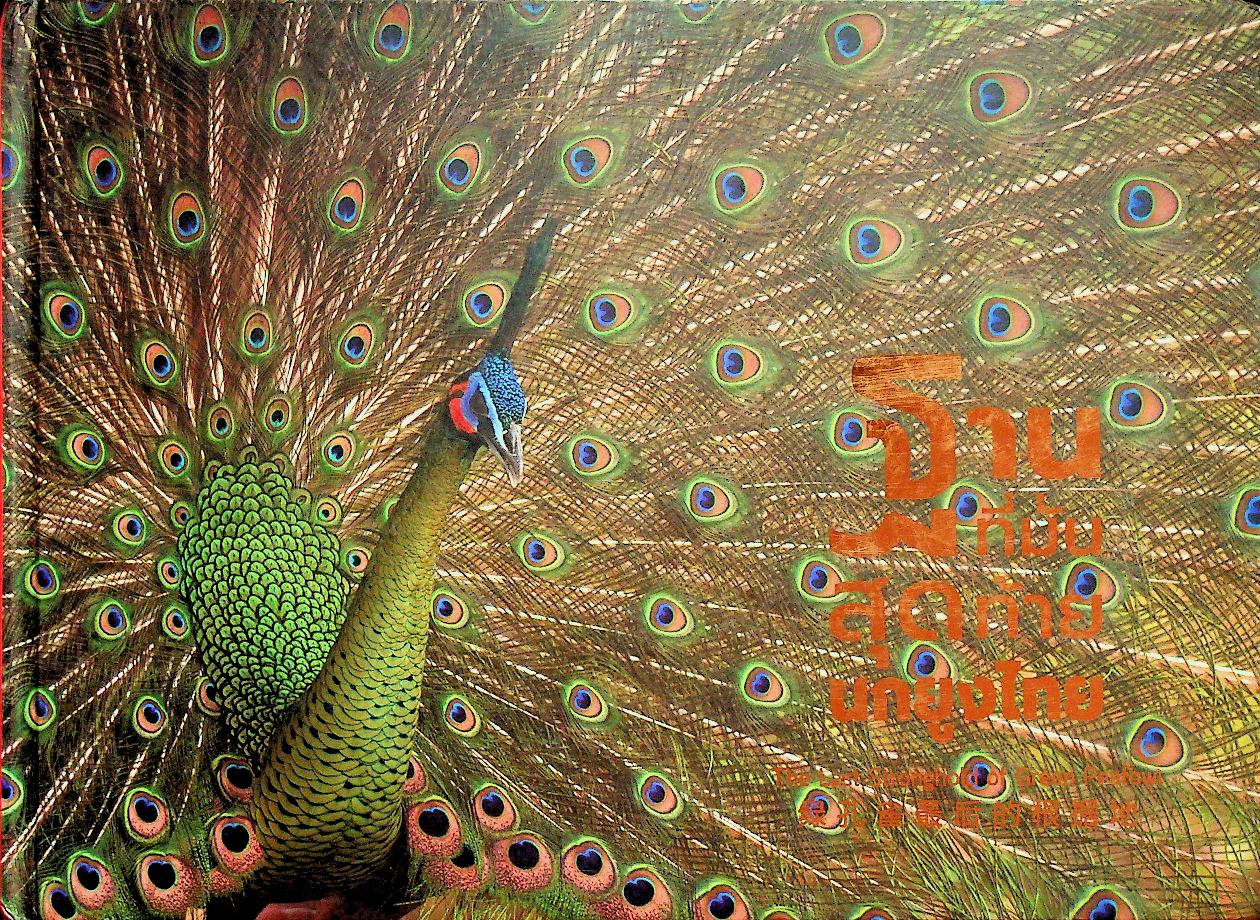 ฐานที่มั่นสุดท้ายนกยูงไทย