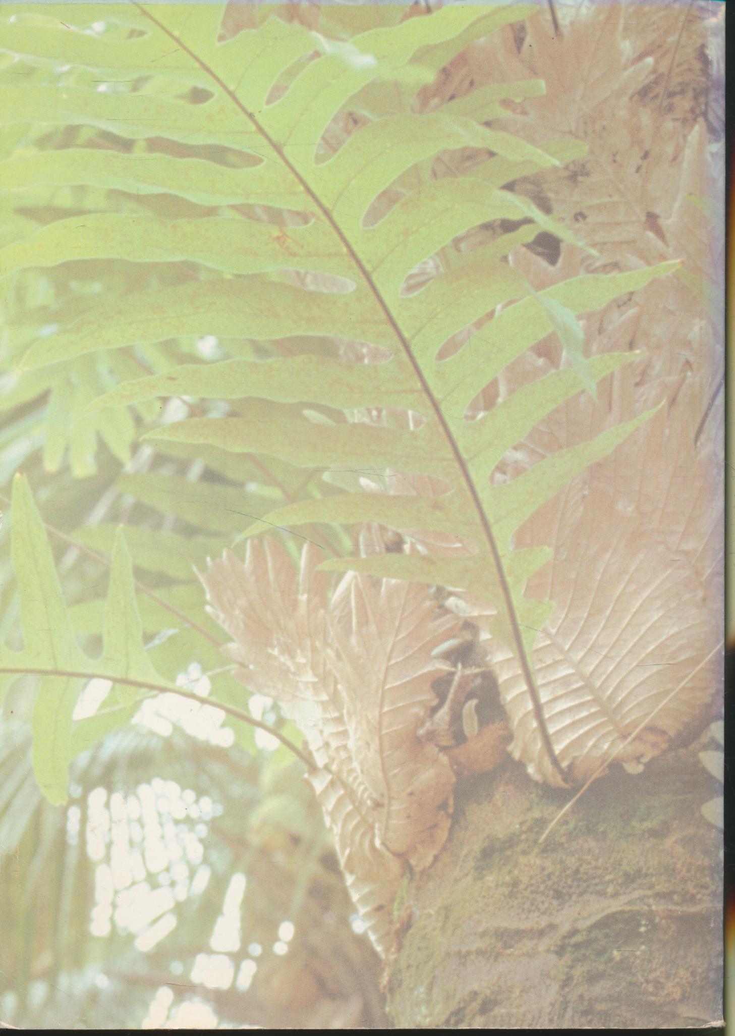 คู่มือครู สร้างเสริมประสบการณ์ชีวิต วิทยาศาสตร์ ชั้นประถมศึกษาปีที่ ๖