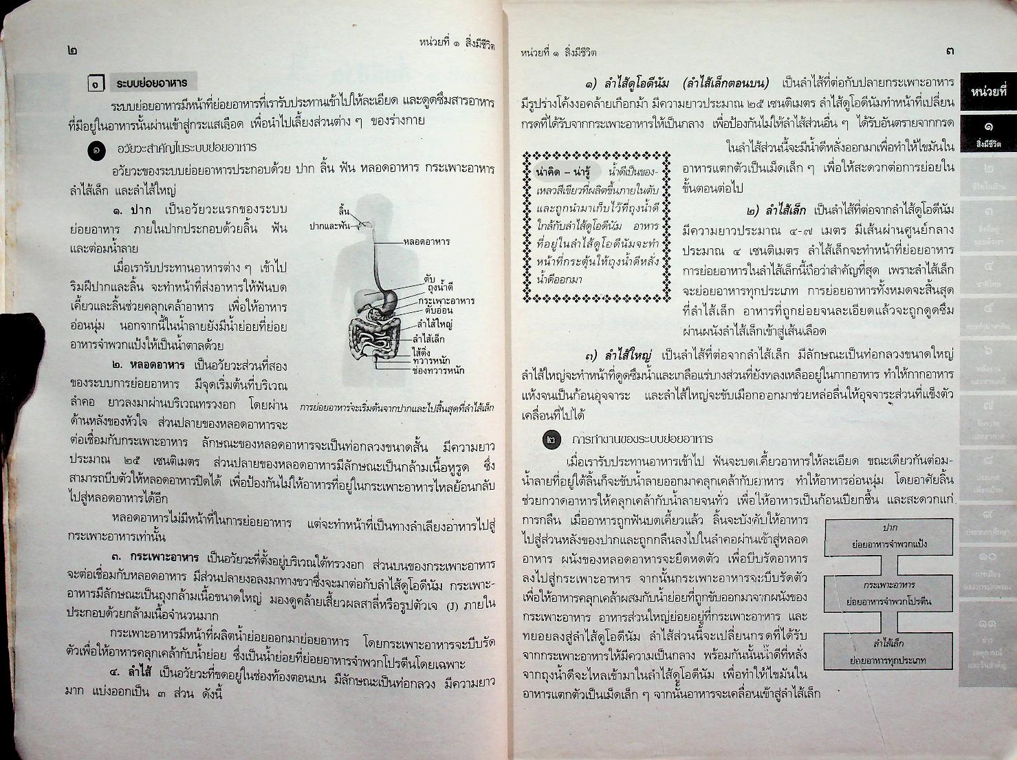 เฉลย สำหรับผู้สอน แนวหน้า กลุ่มสร้างเสริมประสบการณ์ชีวิต สปช.๖ ชั้นประถมศึกษาปีที่ ๖