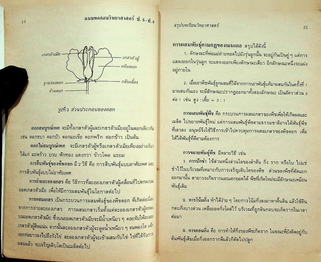แบบทดสอบ วิทยาศาสตร์ ป.5 ป.6