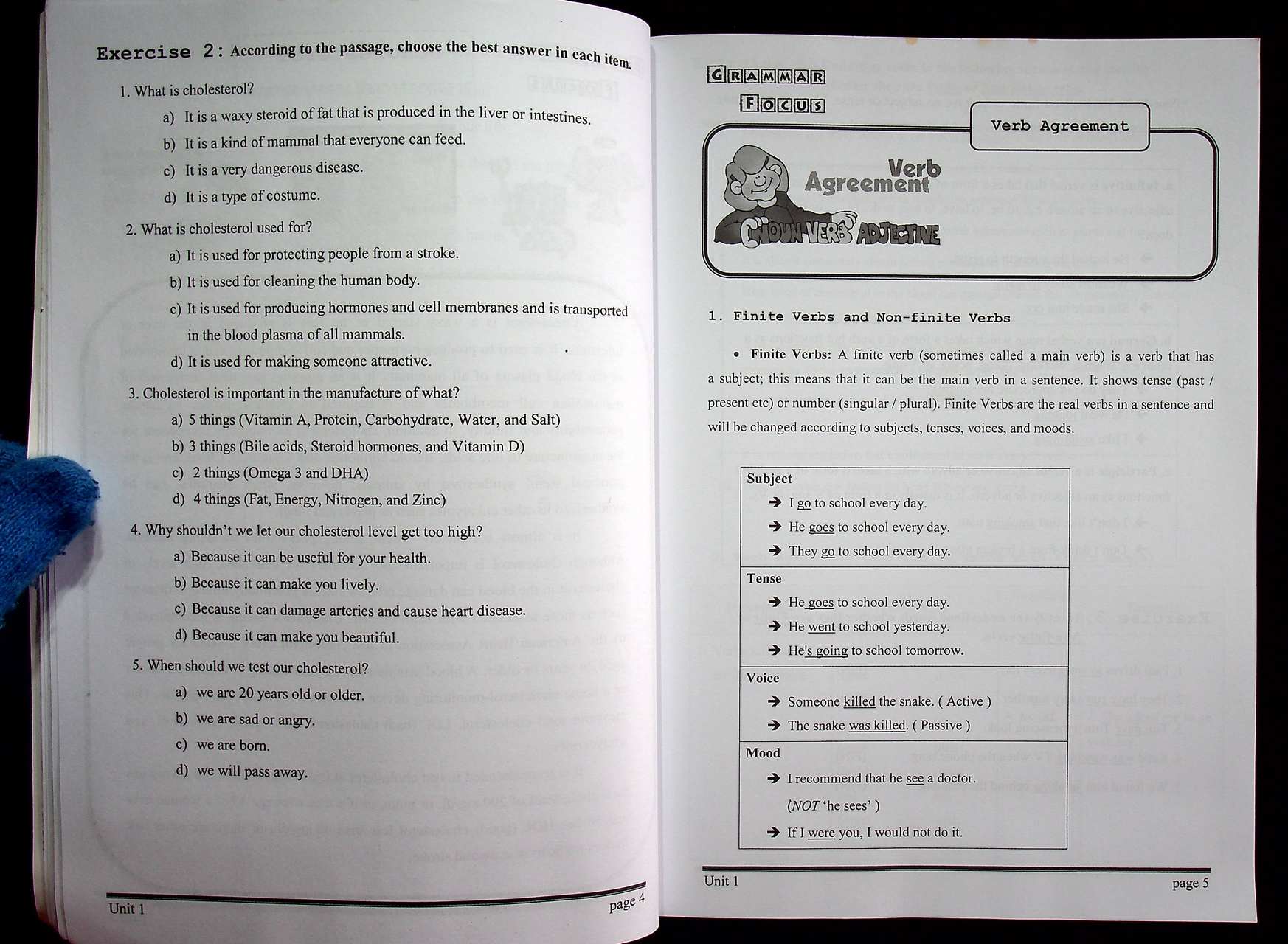 DEVELOPMENTAL ENGLISH