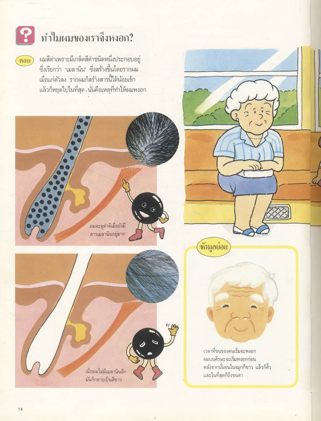 หนังสือชุดความรู้เบื้องต้นสำหรับเด็ก ร่างกายของเรา