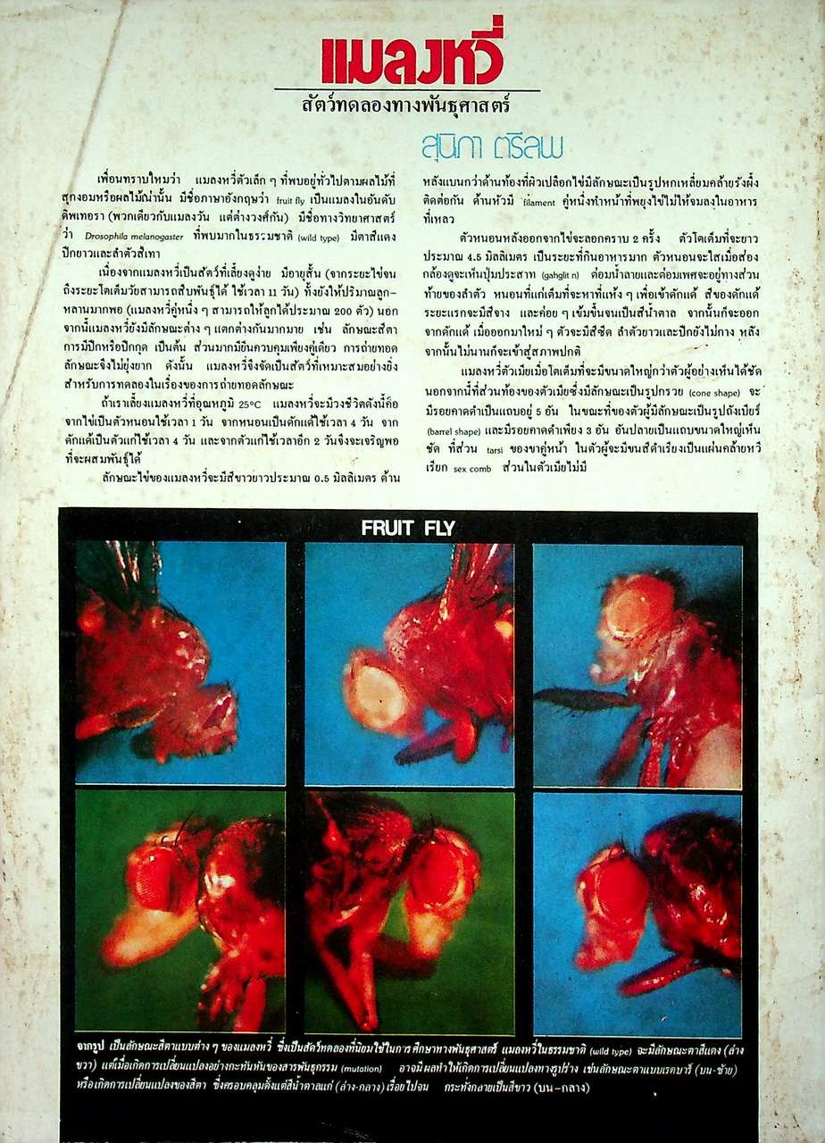 เพื่อนเรียน เพื่อนักเรียนมัธยมปลาย ฉบับวิทย์ ปีที่ 2 ฉบับที่ 8 ธันวาคม 2524