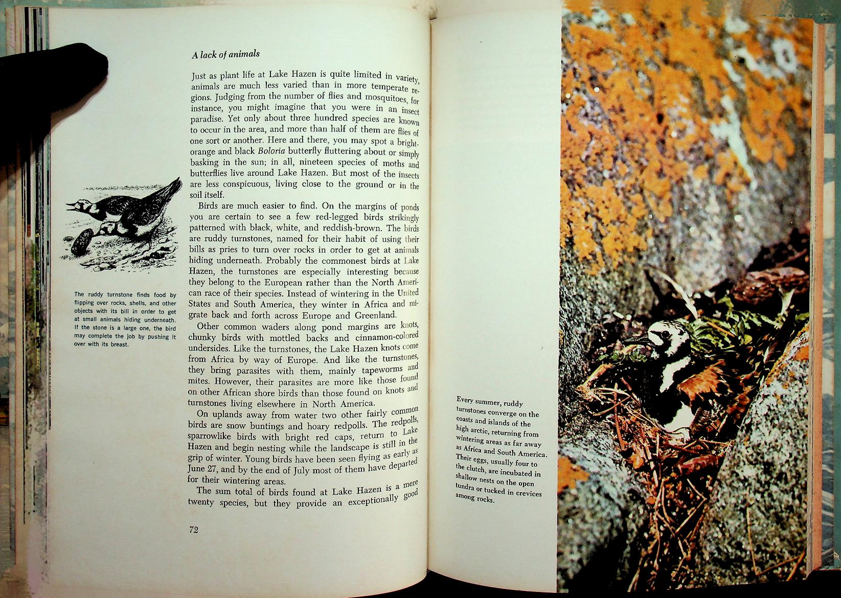 The Life of the Far North