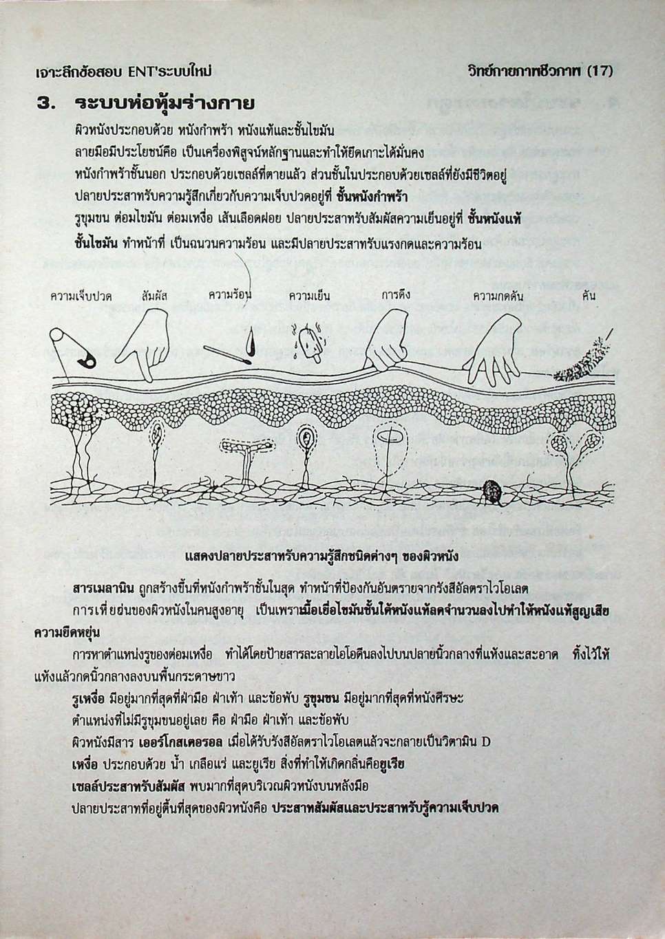 เจาะลึกข้อสอบ ENT' ระบบใหม่ วิชา วิทยาศาสตร์กายภาพชีวภาพ