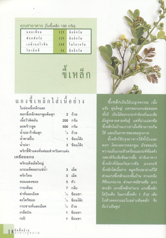ผักพื้นบ้านอาหารสุขภาพ ตำรับกับข้าวรสไทย ทำง่าย อร่อยลิ้น