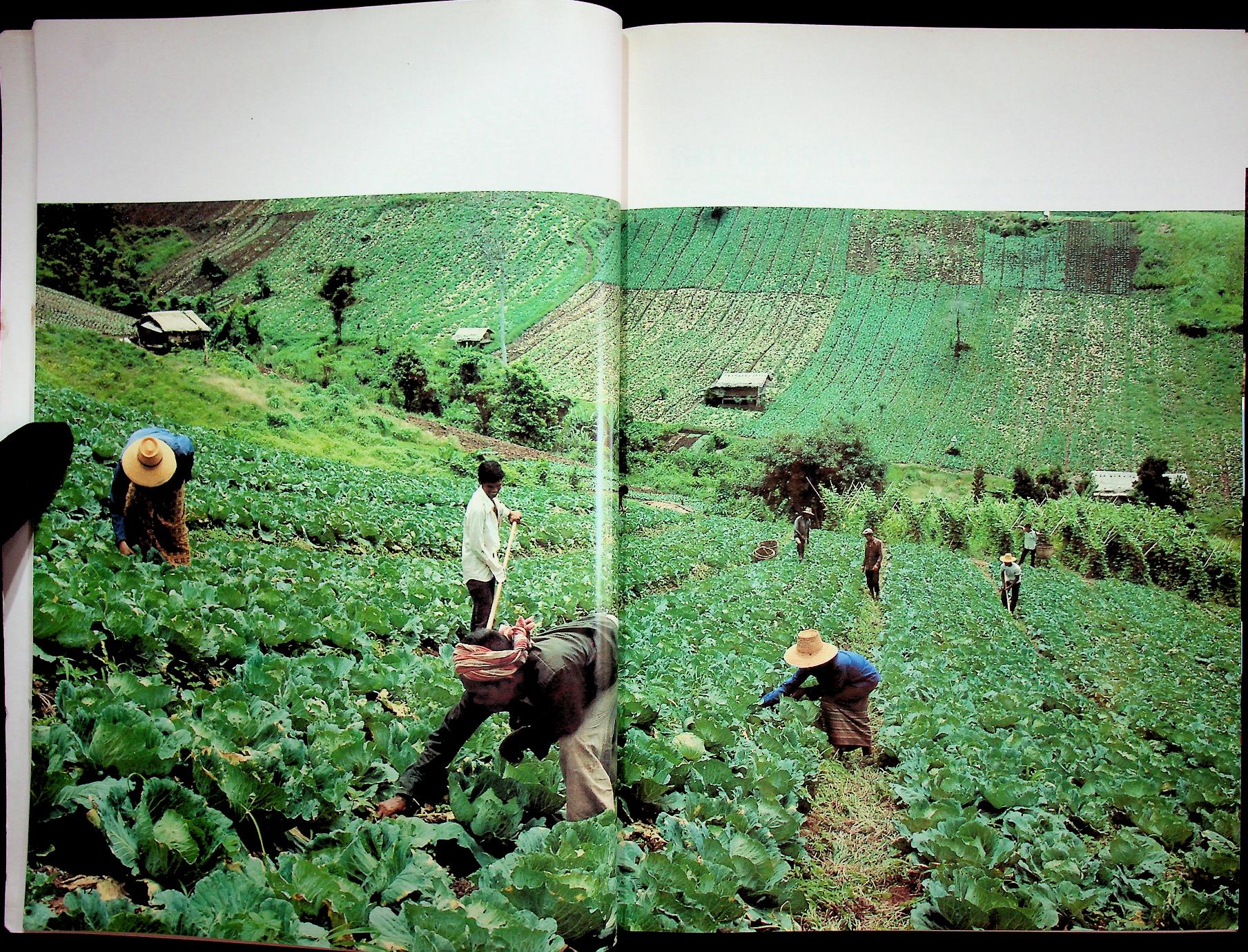 เมืองไทยของเรา