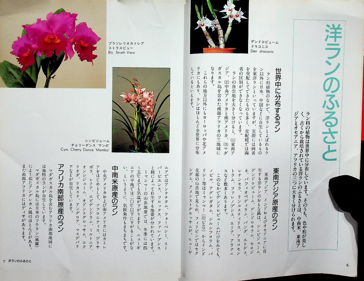 JOYFUL GREEN LIFE : Orchid (ดอกกล้วยไม้ ฉบับภาษาญี่ปุ่น)