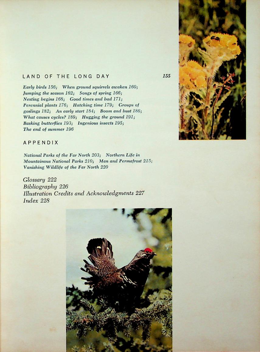 The Life of the Far North