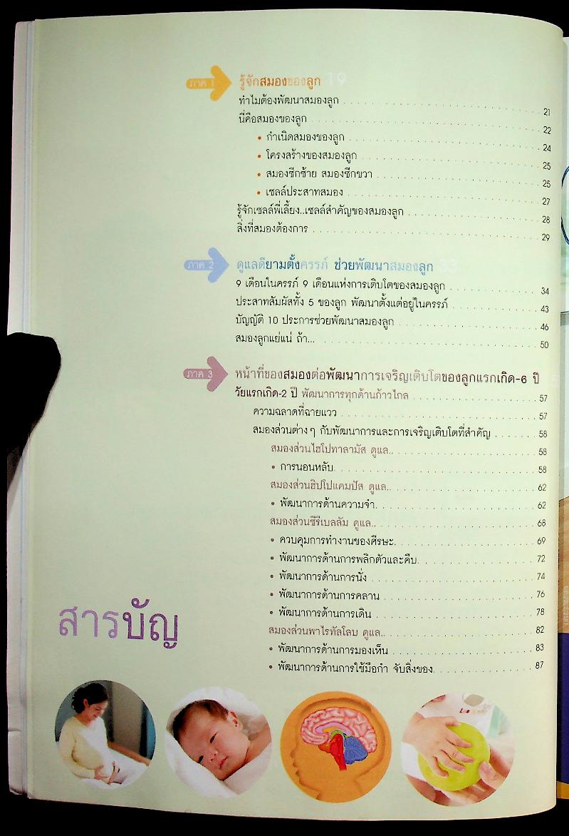 คู่มือพัฒนาสมองลูกด้วยสองมือพ่อแม่