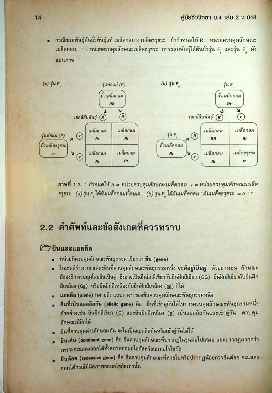 คู่มือ ชีววิทยา ม.4 เล่ม 2 ว 048 โครงสร้างที่ 3