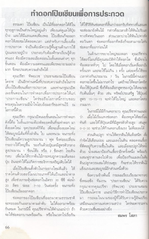 น.ส.พ. ประกายเซียน ปีที่ 2 ฉบับที่ 2 (3) เมษายน พ.ศ.2540 ฉบับไม้ดอกไม้ประดับ ยอดฮิตของไทย