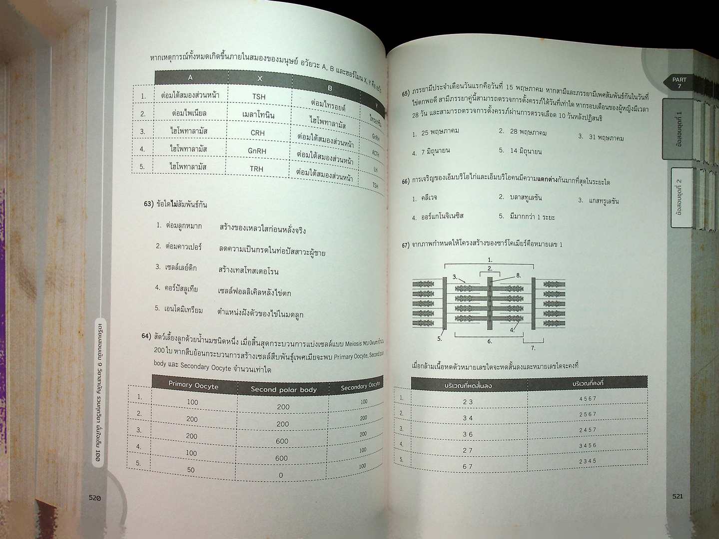เตรียมสอบเข้ม 9 วิชาสามัญ รวมทุกวิชา