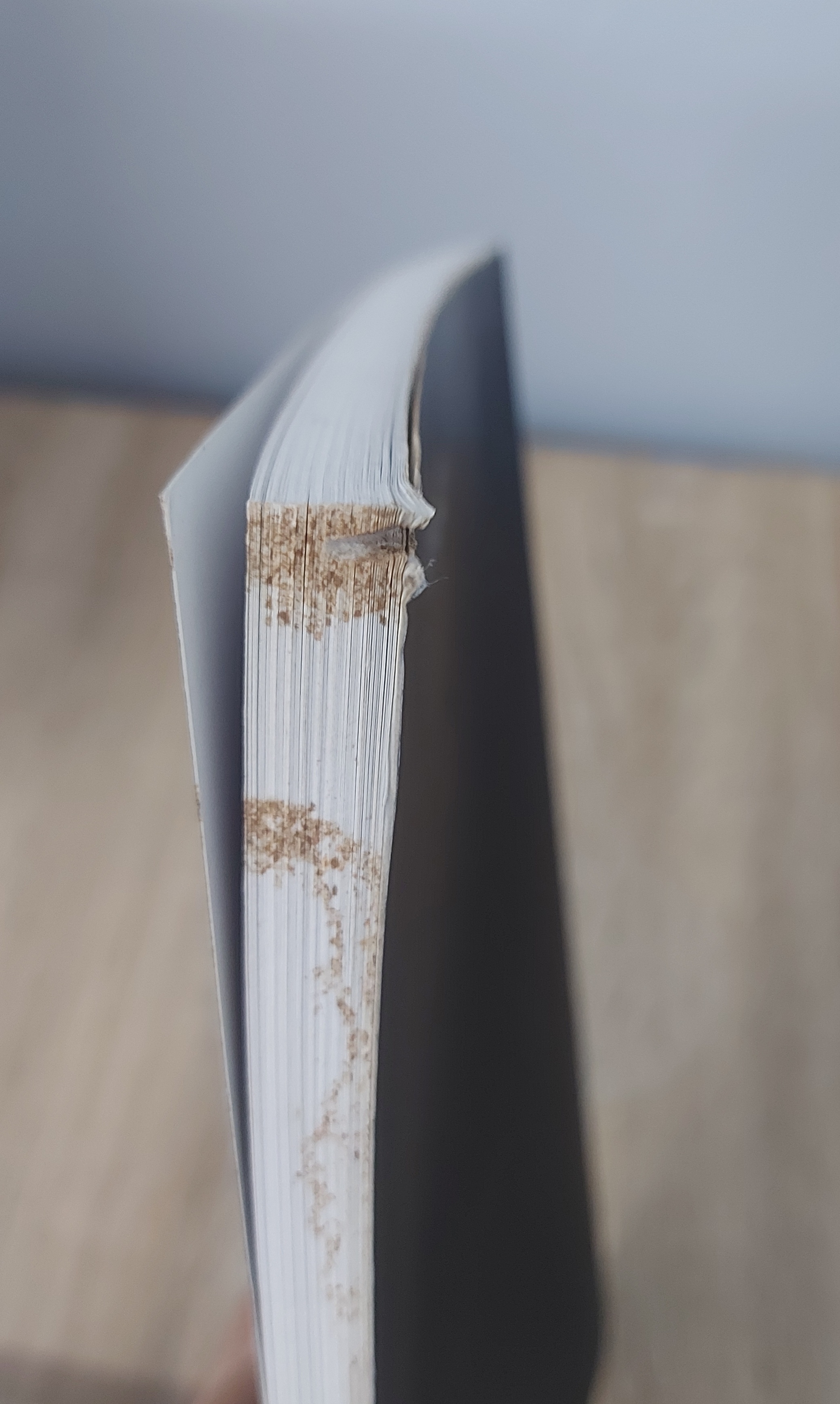 พระพุทธรูปหินทรายสกุลช่างพะเยา