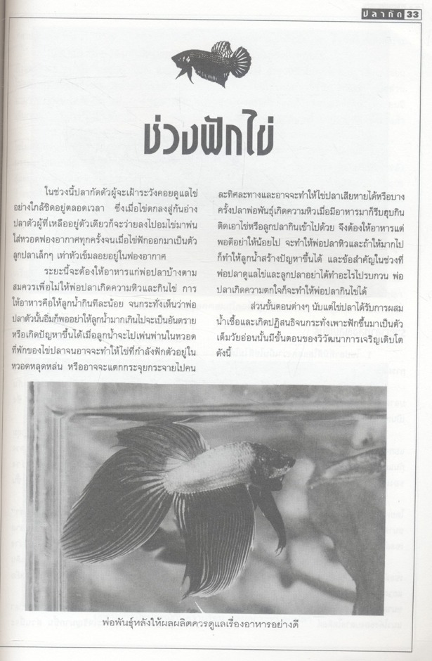 คู่มือสัตว์เลี้ยงสวยงามร่วมสมัย ชุดที่ 2 ปลากัด