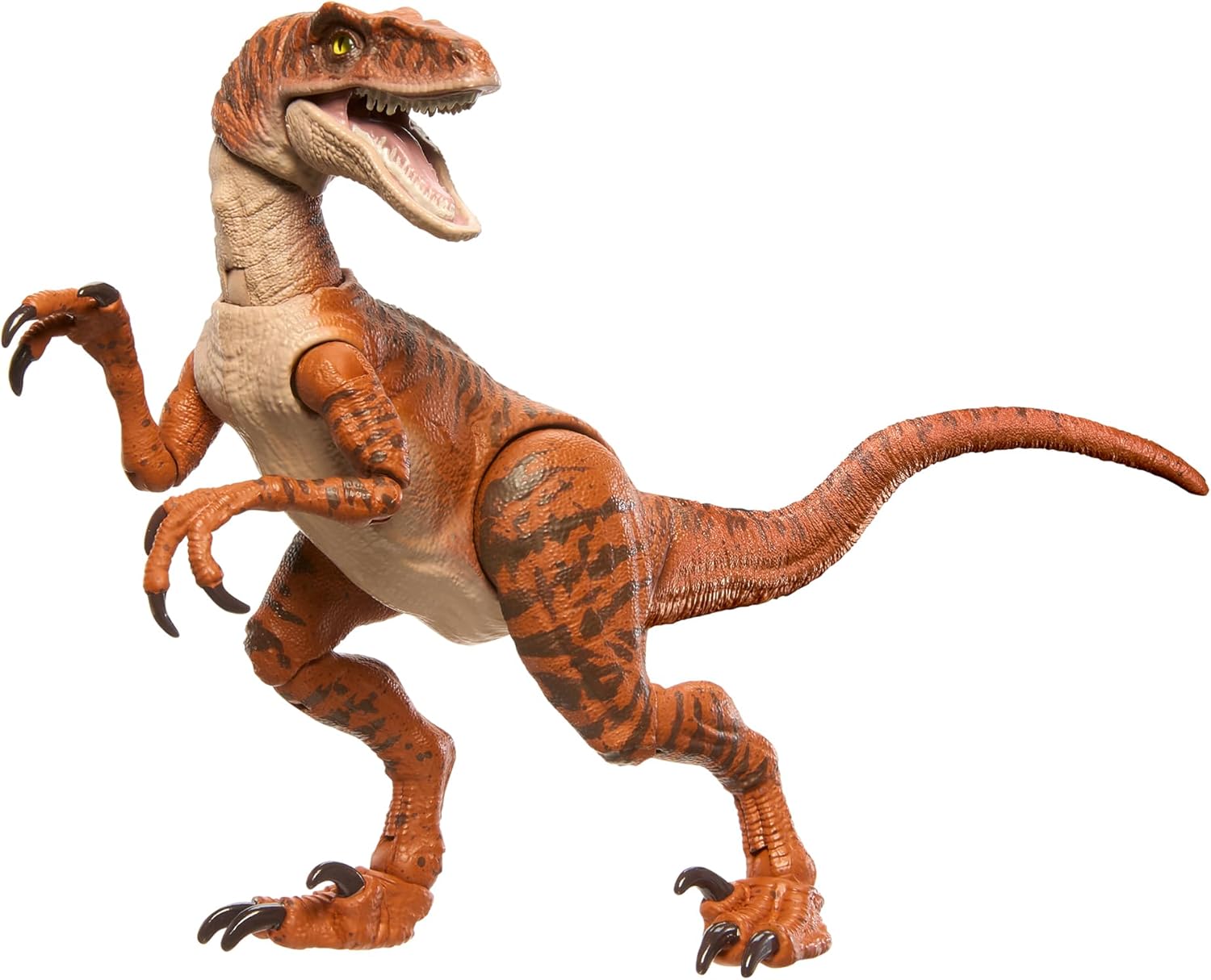**MTS Toys**Mattel Jurassic World Hammond Collection : JDJ09 Velociraptor [True FX] [ความยาวจากหัวถึงหาง 20 ซ.ม.]