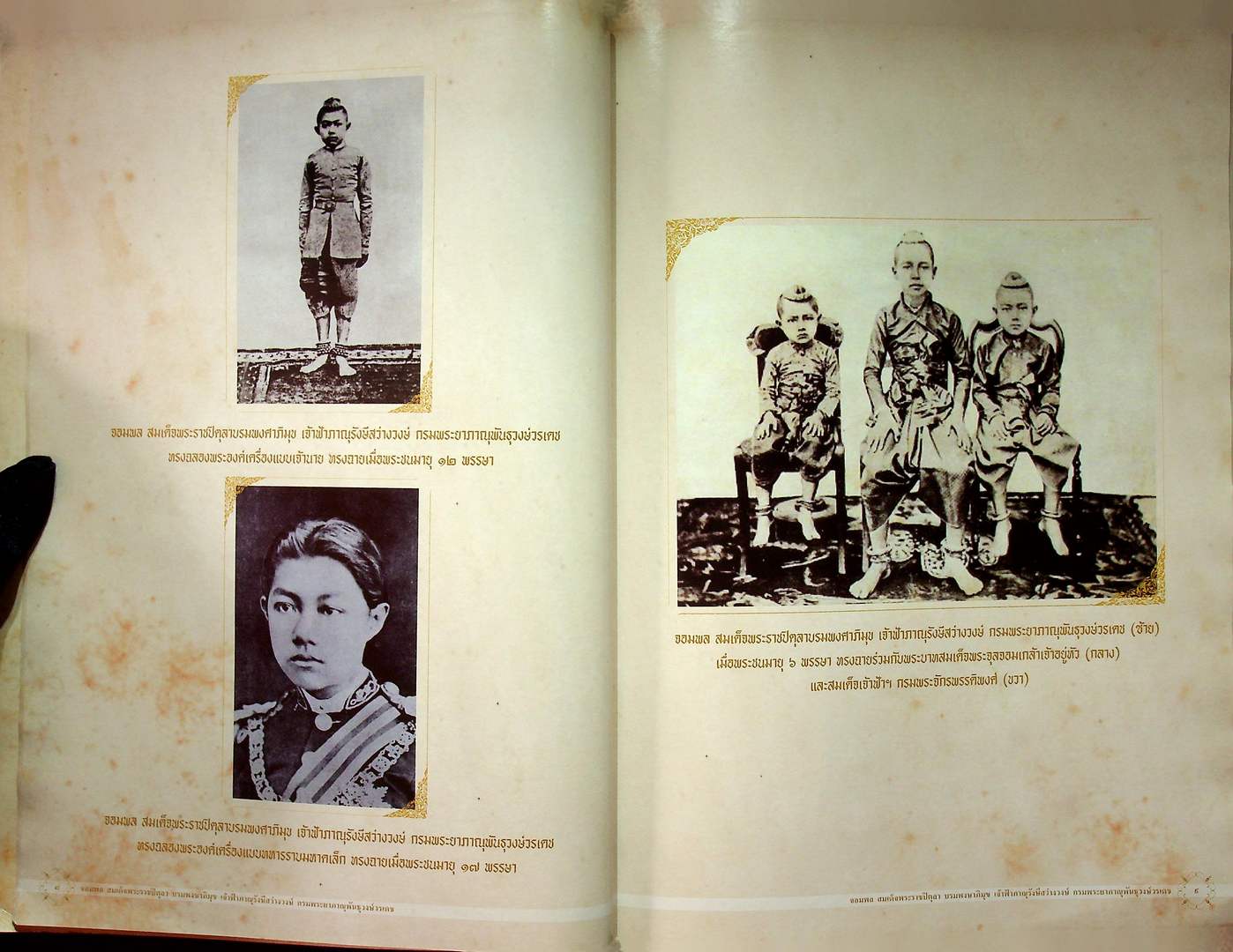 จอมพล สมเด็จพระราชปิตุลา บรมพงษาภิมุข เจ้าฟ้าภาณุรังษีสว่างวงษ์ กรมพระยาภาณุพันธุวงษ์วรเดช