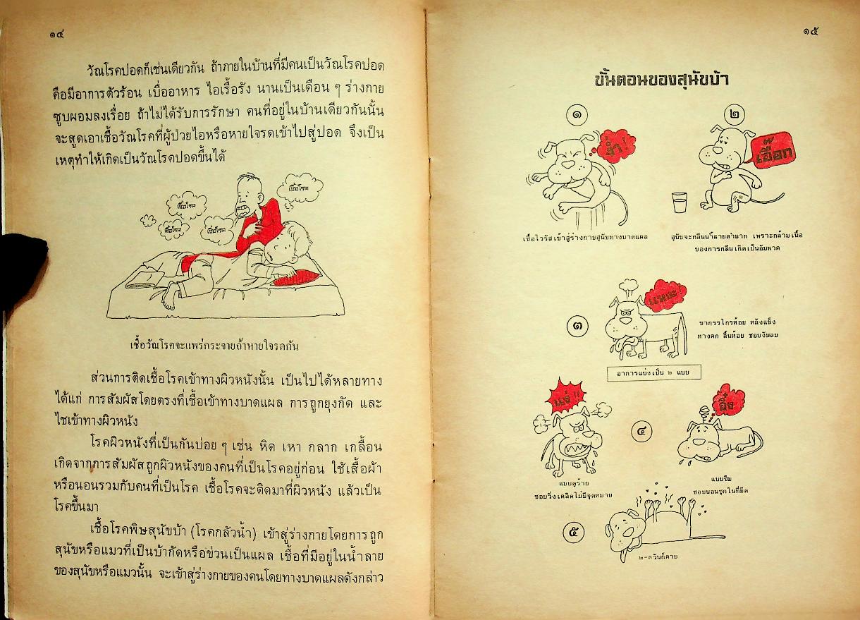 หนังสืออ่านเพิ่มเติม กลุ่มสร้างเสริมประสบการณ์ชีวิต ชุดเรื่องน่ารู้เกี่ยวกับสุขภาพ โรคภัยไข้เจ็บ ชั้นประถมศึกษาปีที่ ๕-๖