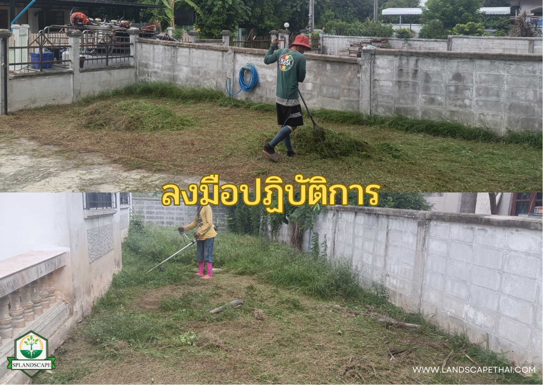 บริการรับตัดหญ้า เคลียร์ริ่ง ถางป่า โทร 094-515-7920