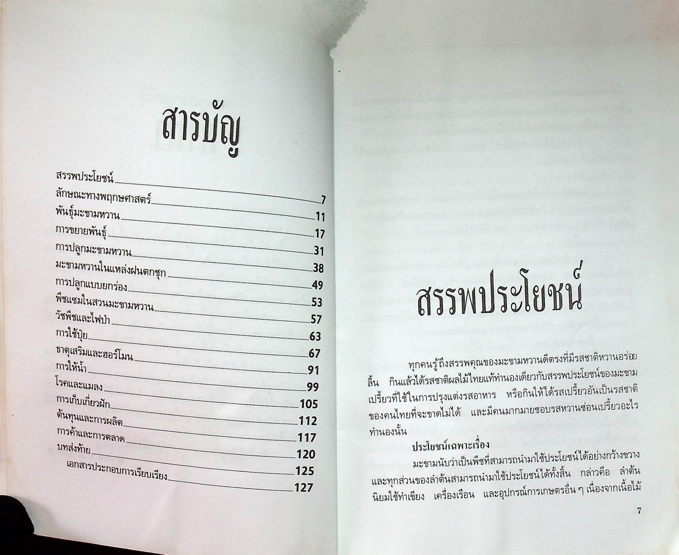 คู่มือมะขามหวาน