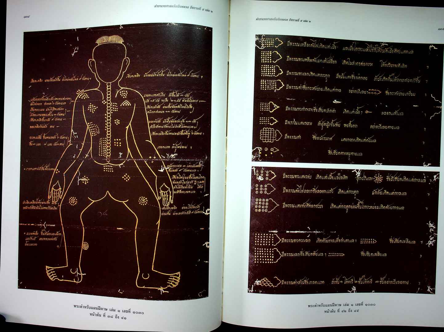 ตำราเวชศาสตร์ฉบับหลวง รัชกาลที่ ๕ เล่ม ๑ และ เล่ม ๒