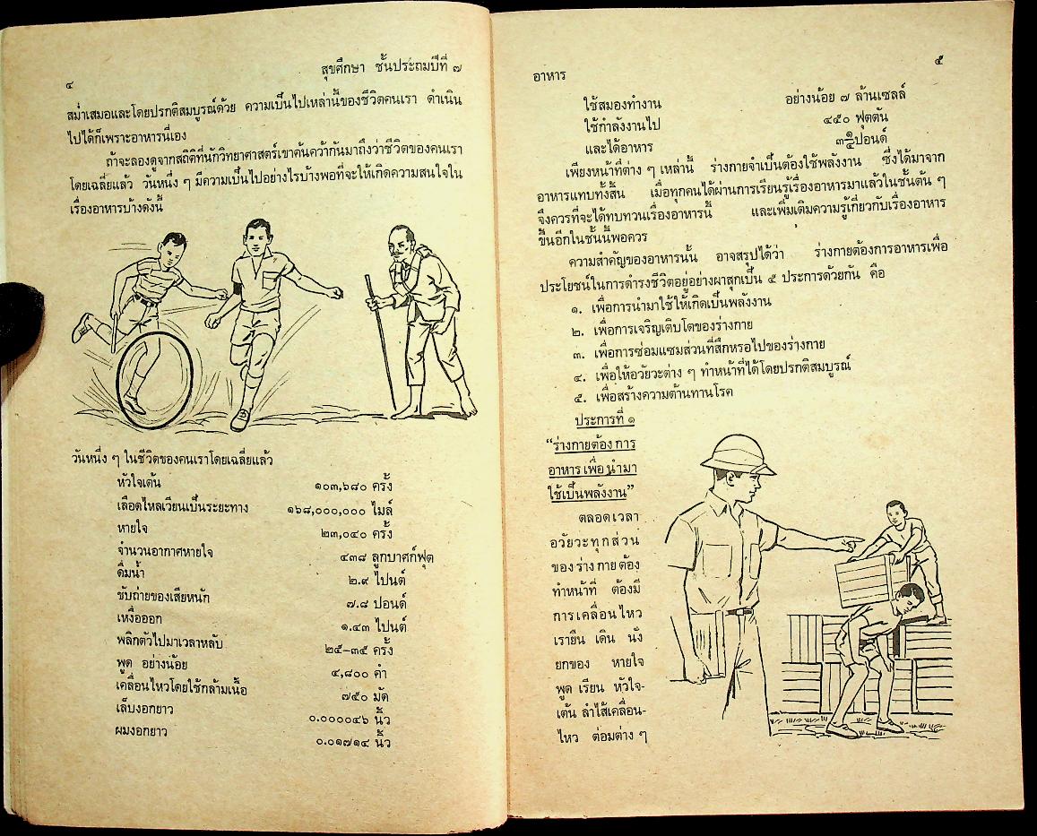 สุขศึกษา ชั้นประถมปีที่ ๗