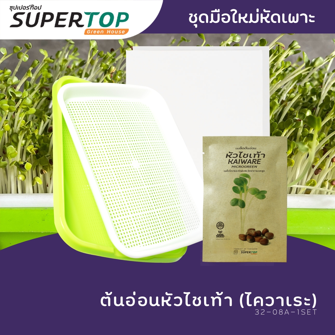 ชุดทดลองเพาะมือใหม่ (แบบไร้ดิน) SUPERTOP | Planting Kit Microgreen