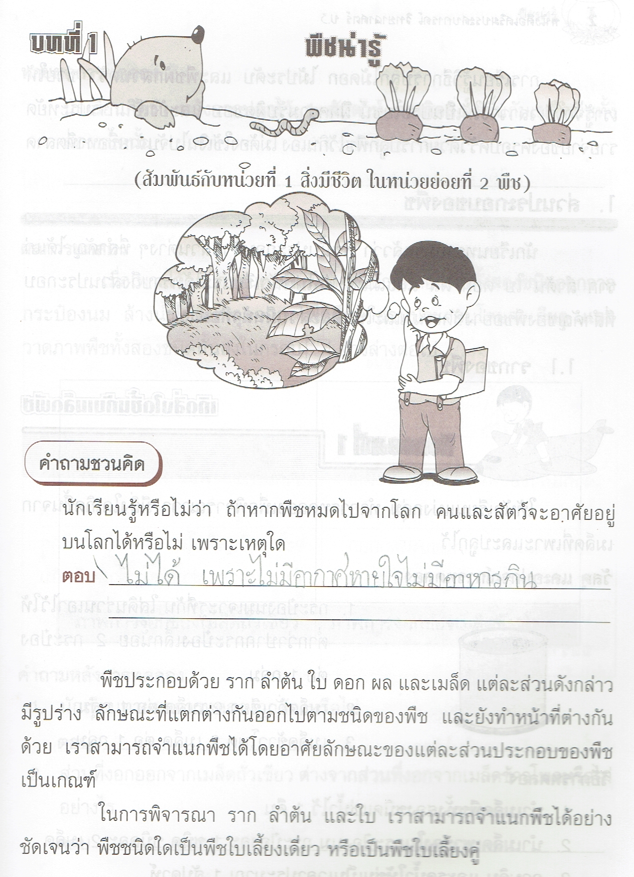 หนังสือเสริมประสบการณ์ วิทยาศาสตร์ ป.3 (ไม่มีเฉลยในเล่ม)