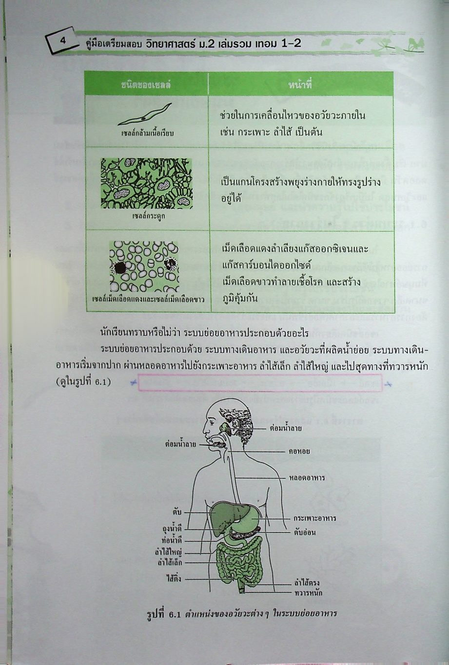 คู่มือเตรียมสอบ วิทยาศาสตร์ ม.2 เล่มรวม เทอม 1-2