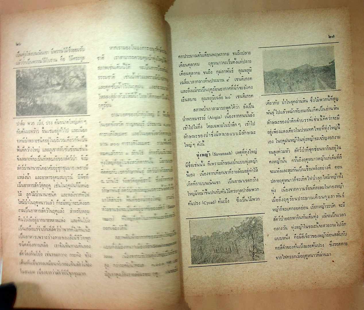 บันทึกลับจากทุ่ง ใหญ่