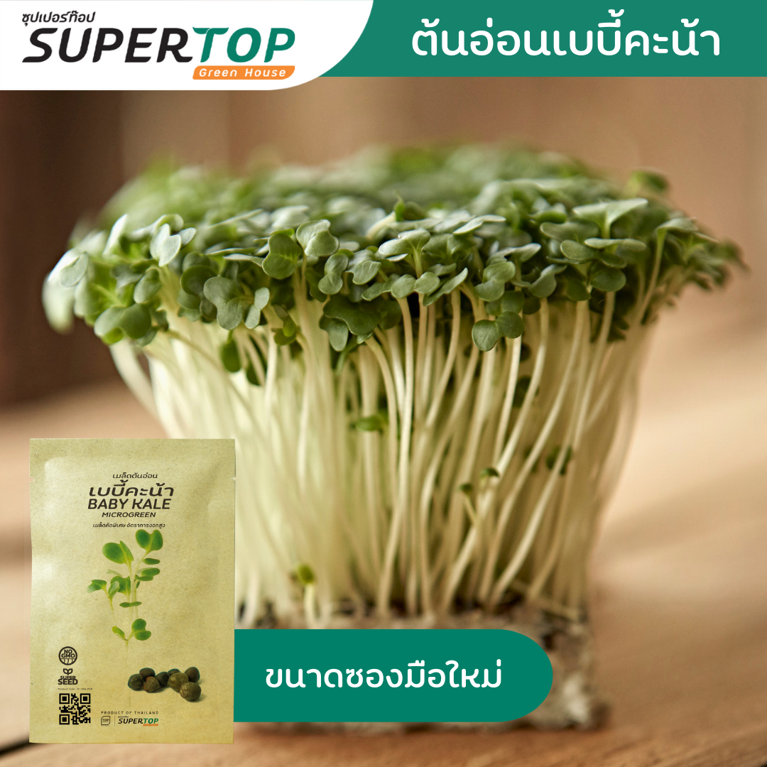 เมล็ดเพาะต้นอ่อน (Microgreen) SUPERTOP | Non-GMO ขนาดซองมือใหม่