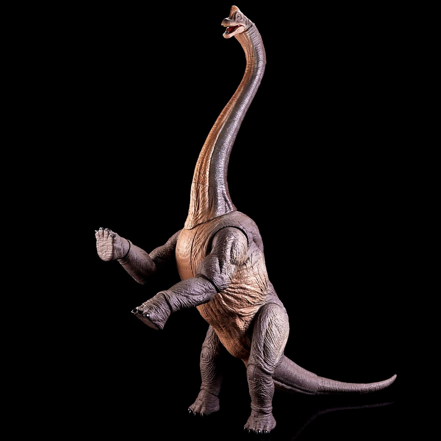 **MTS Toys**Mattel Jurassic World Hammond Collection : HNY77 Brachiosaurus [ความสูงจากหัวถึงเท้า 69 ซ.ม.]