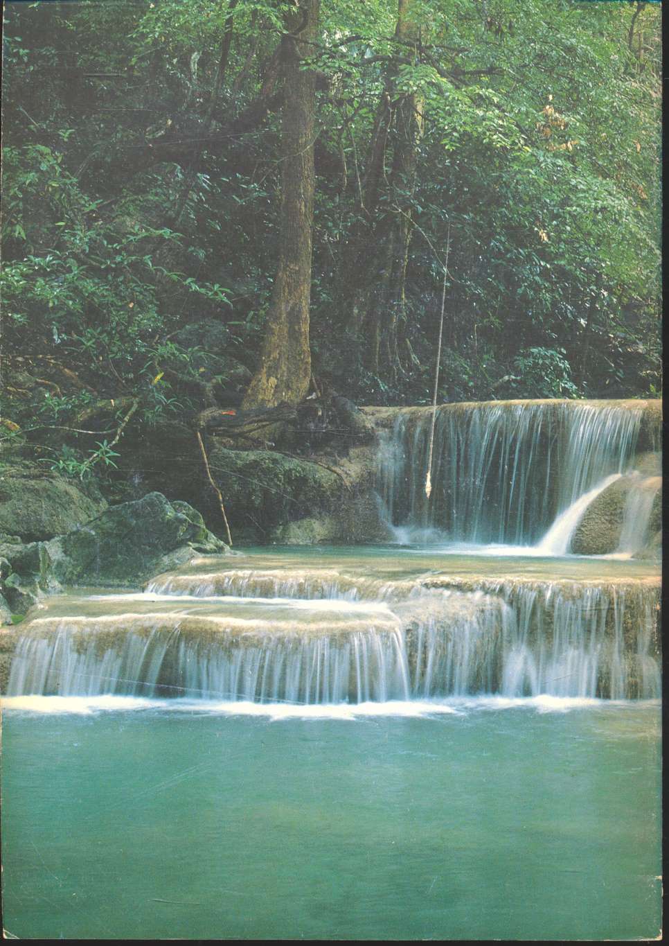 ราชสดุดีเฉลิมพระเกียรติ สมเด็จพระนางเจ้าสิริกิติ์ พระบรมราชินีนาถ วิทยาศาสตรดุษฎีบัณฑิตกิตติมศักดิ์ (วนศาสตร์)