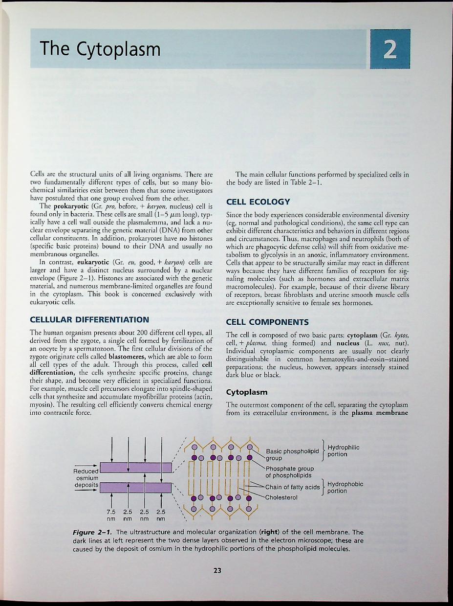 basic histology TEXT & ATLAS