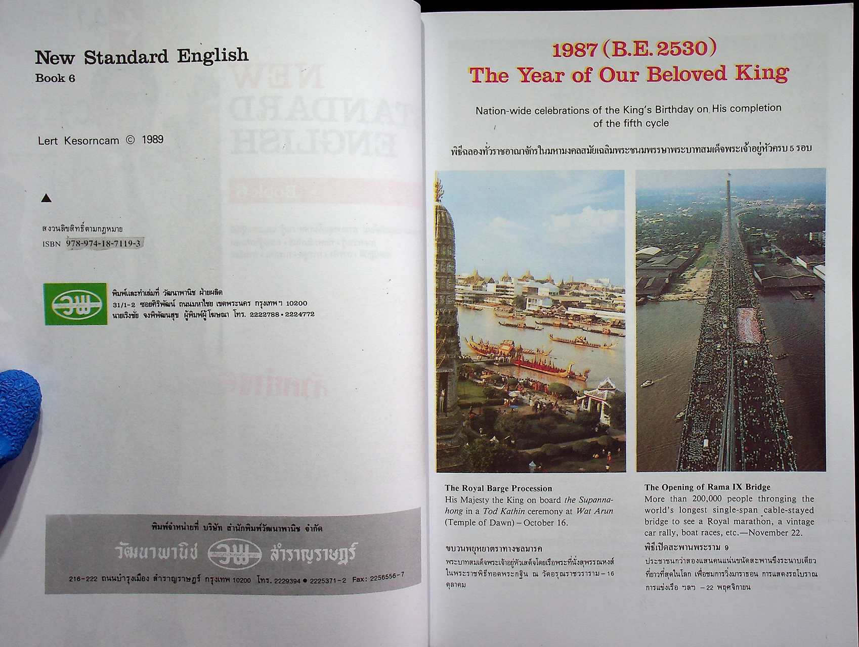 NEW STANDARD ENGLISH 6